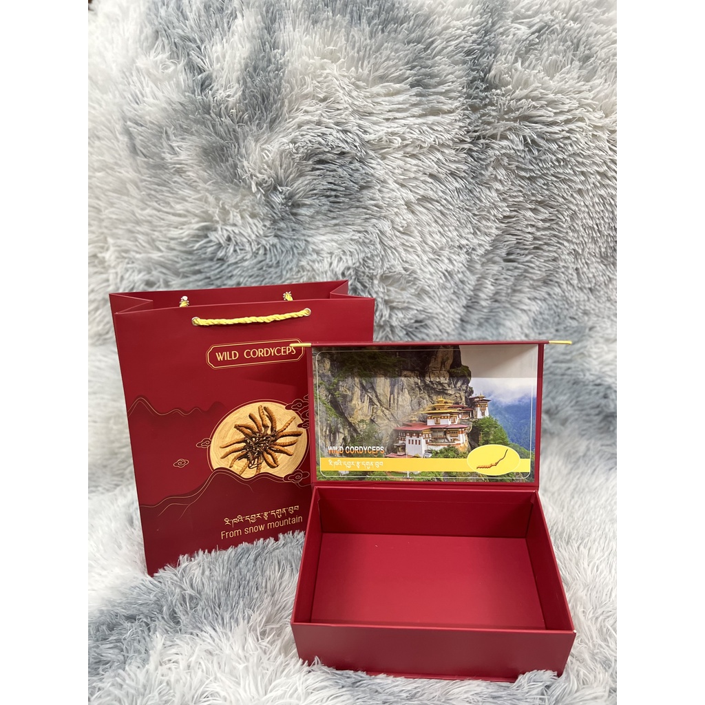 SET TÚI VÀ HỘP ĐỰNG ĐÔNG TRÙNG HẠ THẢO