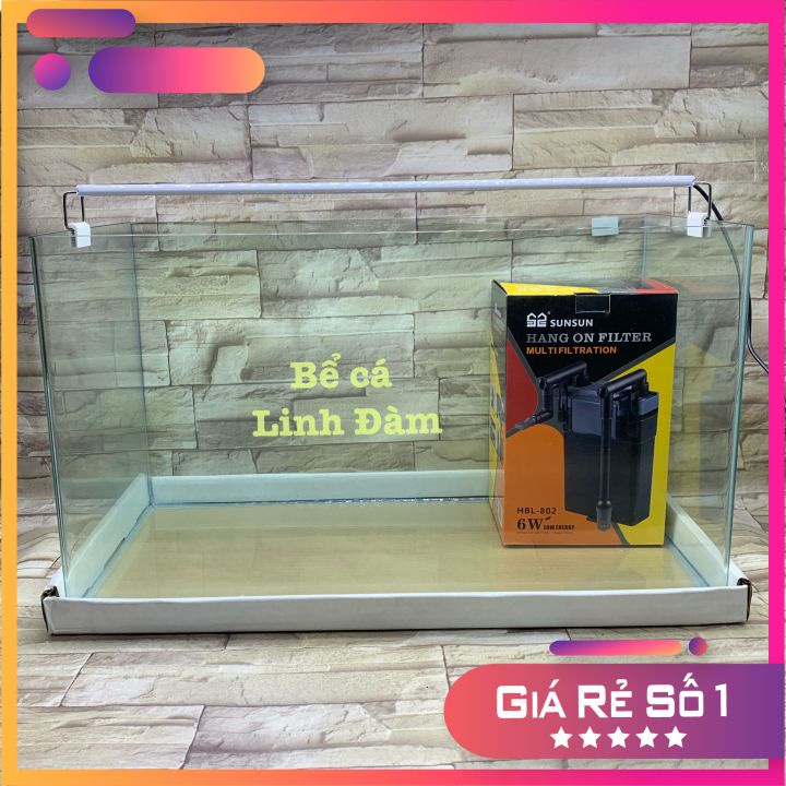 Bể Cá Chữ Nhật 60cm Kính Đúc Bo Góc-Bể Cá Thủy Sinh