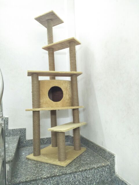 [HÌNH THẬT] TRỤ NHÀ CÂY CÀO MÓNG CATTREE CHO MÈO SIZE CỰC ĐẠI