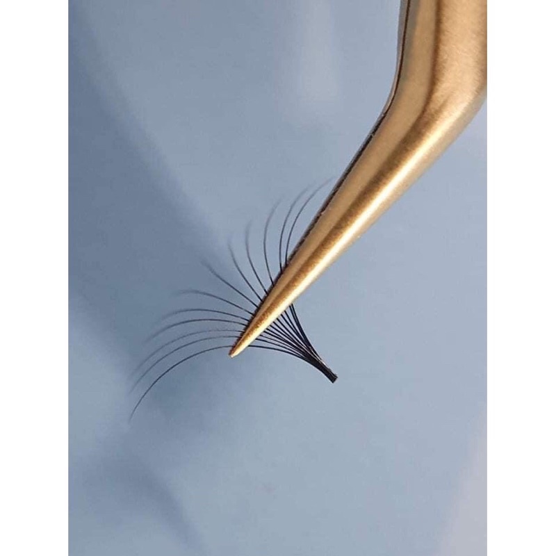 NHÍP HOA HỒNG ĐEN