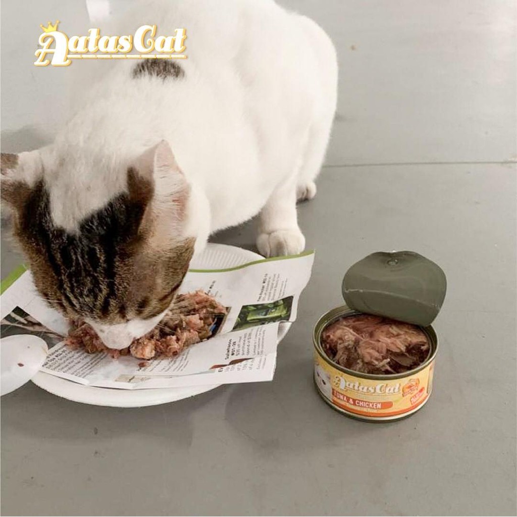 Pate Cho Mèo Aatas Cat 80g Nguyên Chất Từ Cá Ngừ Mix Với 12 Loại Thịt Thơm Ngon - Không Chất Bảo Quản