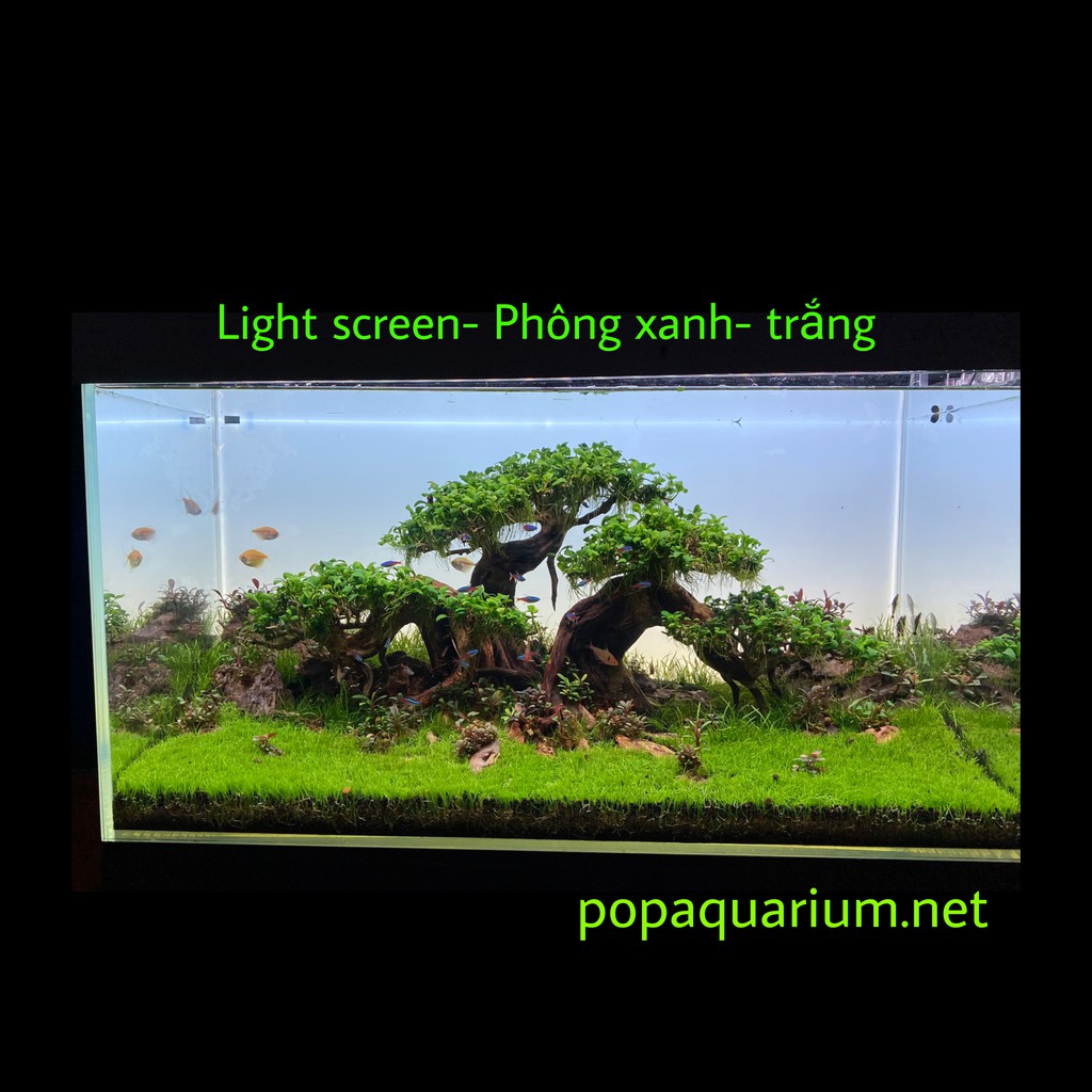 Phông nền Led light SAM Screen  dành cho bể cá cảnh