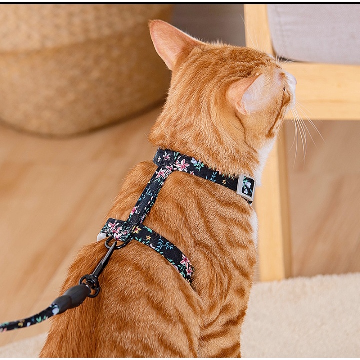 Dây Dắt Mèo Đi Dạo, Dây Dắt Mèo Dạng Yếm - Họa Tiết Nhật Bản 4 màu Chanh Sả