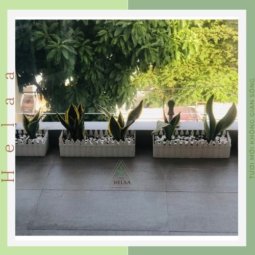Chậu Nhựa Hàng Rào Tre, Hàng Rào Nhựa Trồng Hoa Ban Công Siêu Xinh - Đủ Size