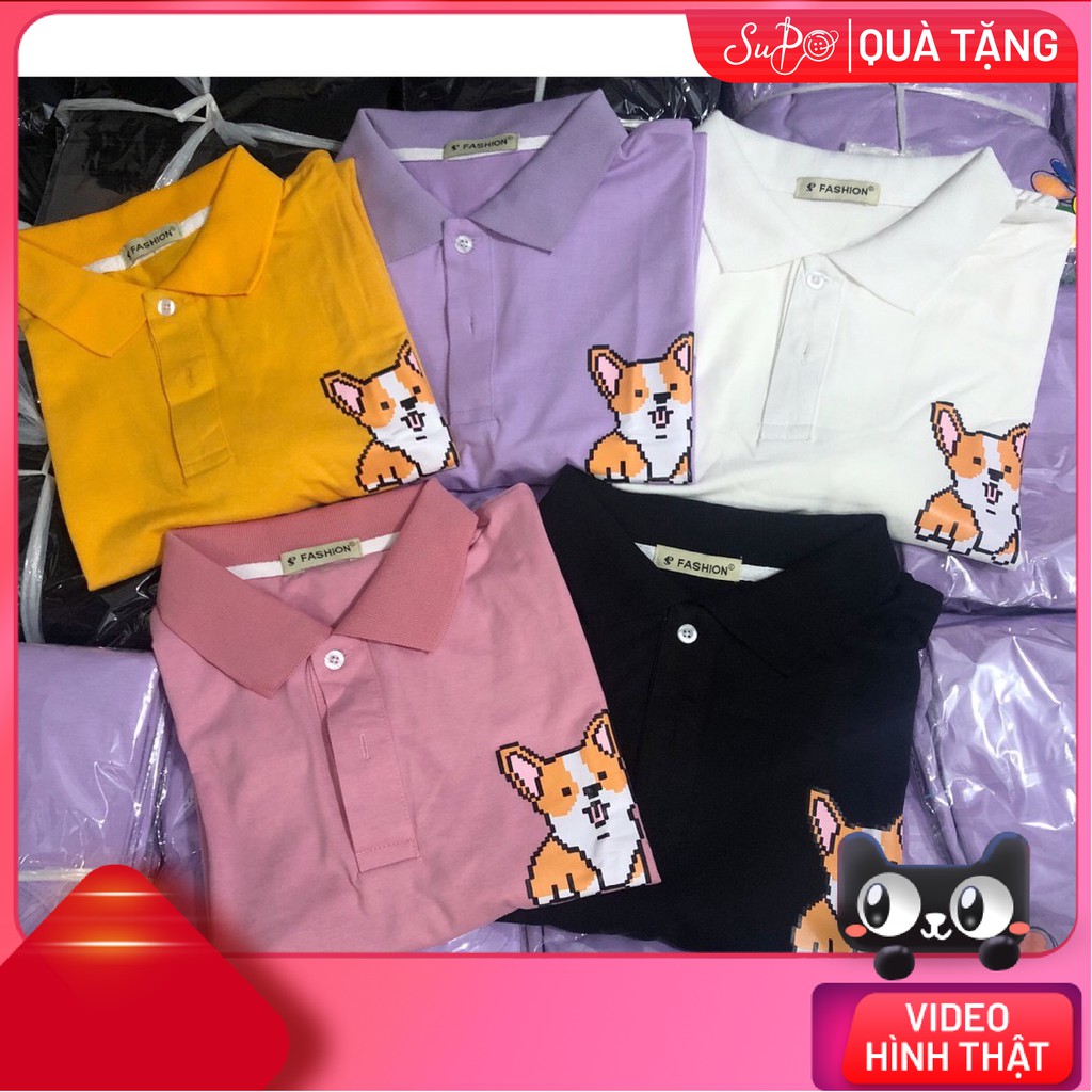 Áo POLO Chó Corgi Siêu Dễ Thương --- [ Xưởng Sỉ Supo ]
