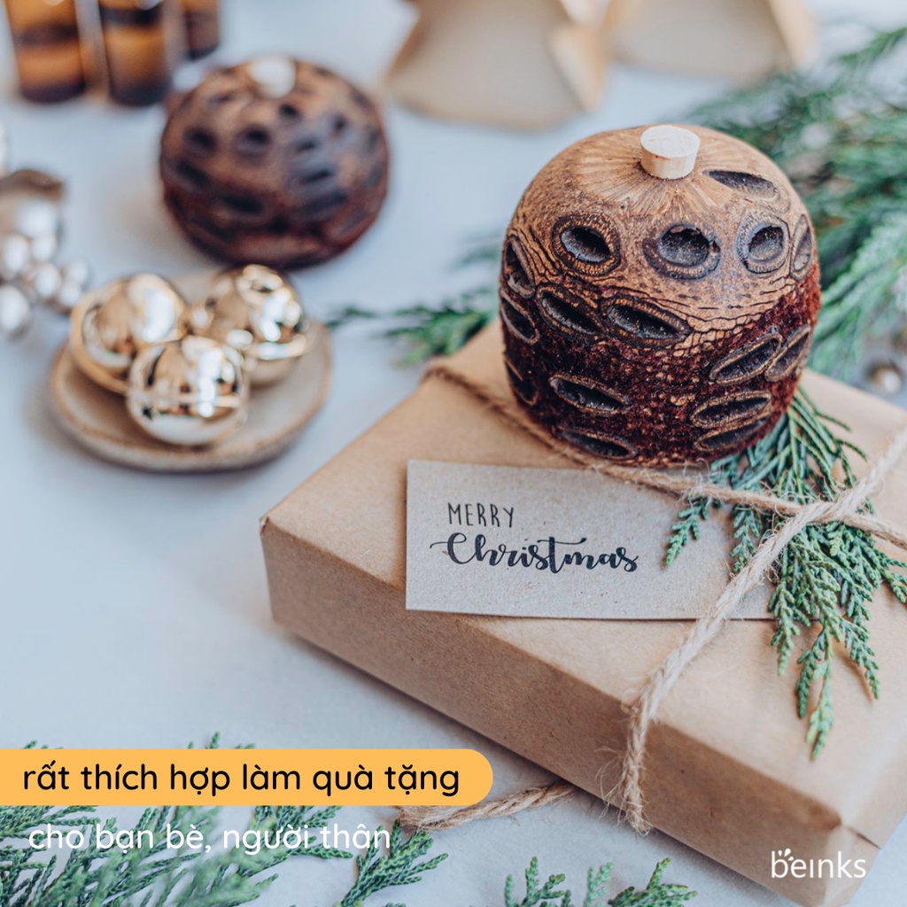 Trái khuếch tán tinh dầu Banksia