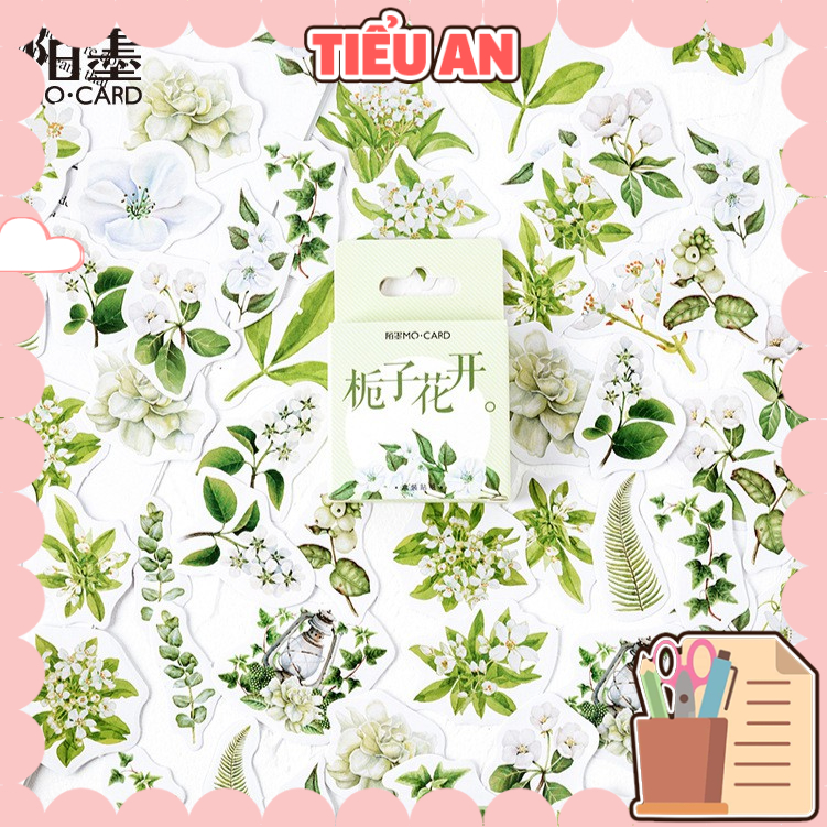 Bộ sticker/ Hình dán Kiểu Dáng Hình Lá & Hoa Trắng