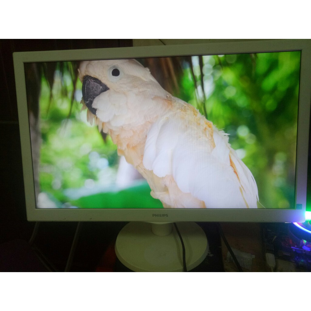 HOT -  Màn hình Philip 27" 273V5LSWI93 hình thực tế bao đẹp | BigBuy360 - bigbuy360.vn