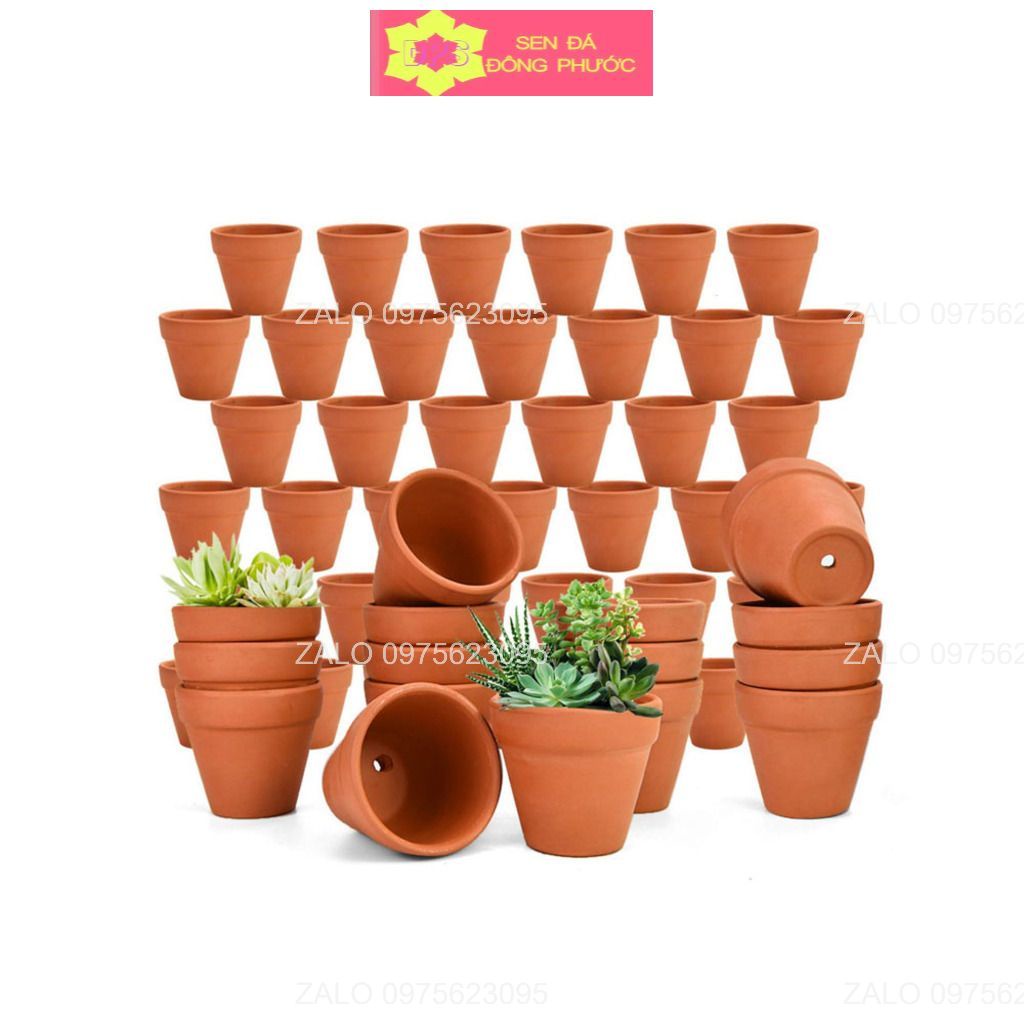 CHẬU ĐẤT NUNG HÌNH BÀN TAY - chậu trồng tiểu cảnh sen đá, xương rồng, cây phong thuỷ văn phòng đẹp