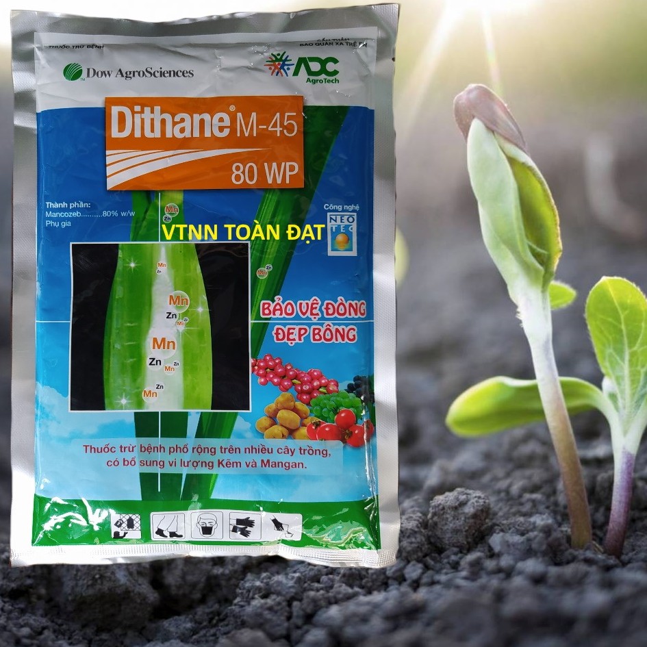 Thuốc Trừ Bệnh DITHANE 80WP - Trừ Bệnh Vàng Lá, Mốc Sương (250g)