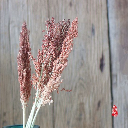 Bông Cao Lương Khô Cành To Phong Cách Cổ Điển