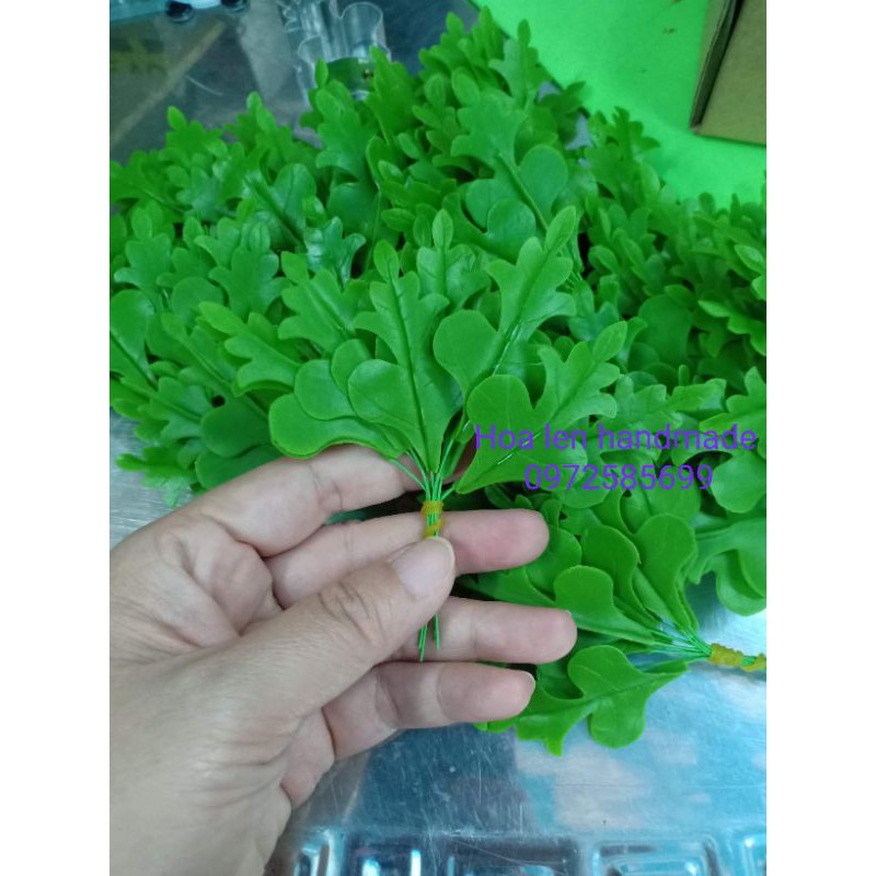 10 nụ hoa sao nhái /nhụy sao nhái