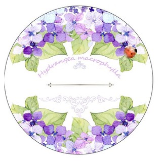 Washi tape Cẩm Tú Cầu chiết lẻ 1m