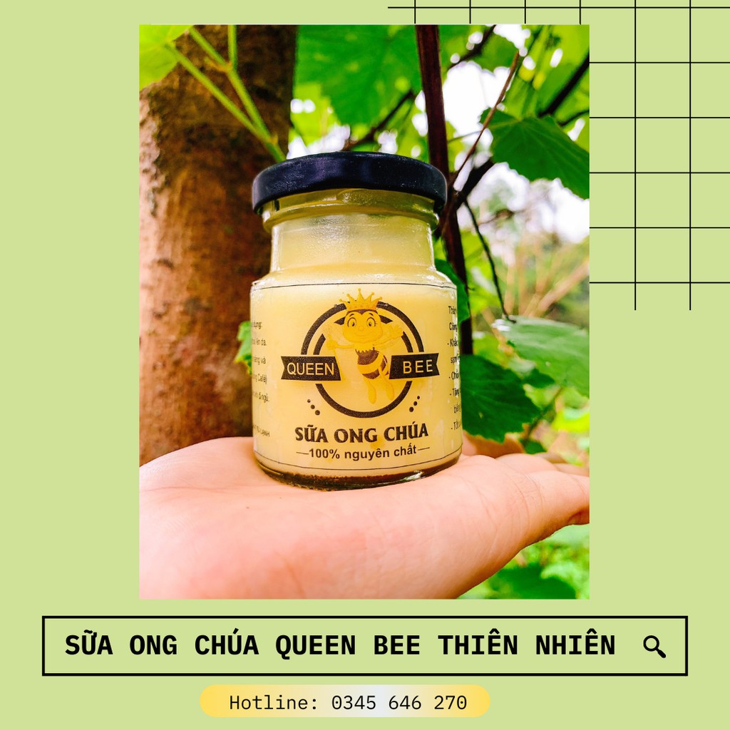 Sữa Ong Chúa Queen Bee Thiên Nhiên - Tặng Kèm Cọ Và Thun Buộc Tóc