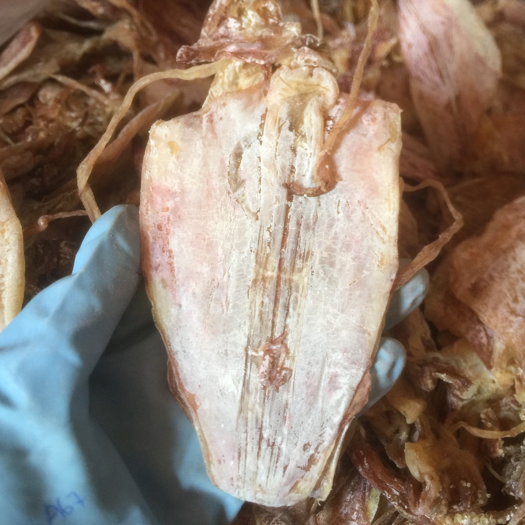 [MỰC CHAO] - Mực khô câu siêu ngon loại 80-90 con/kg, 130-140 con/kg (200g)