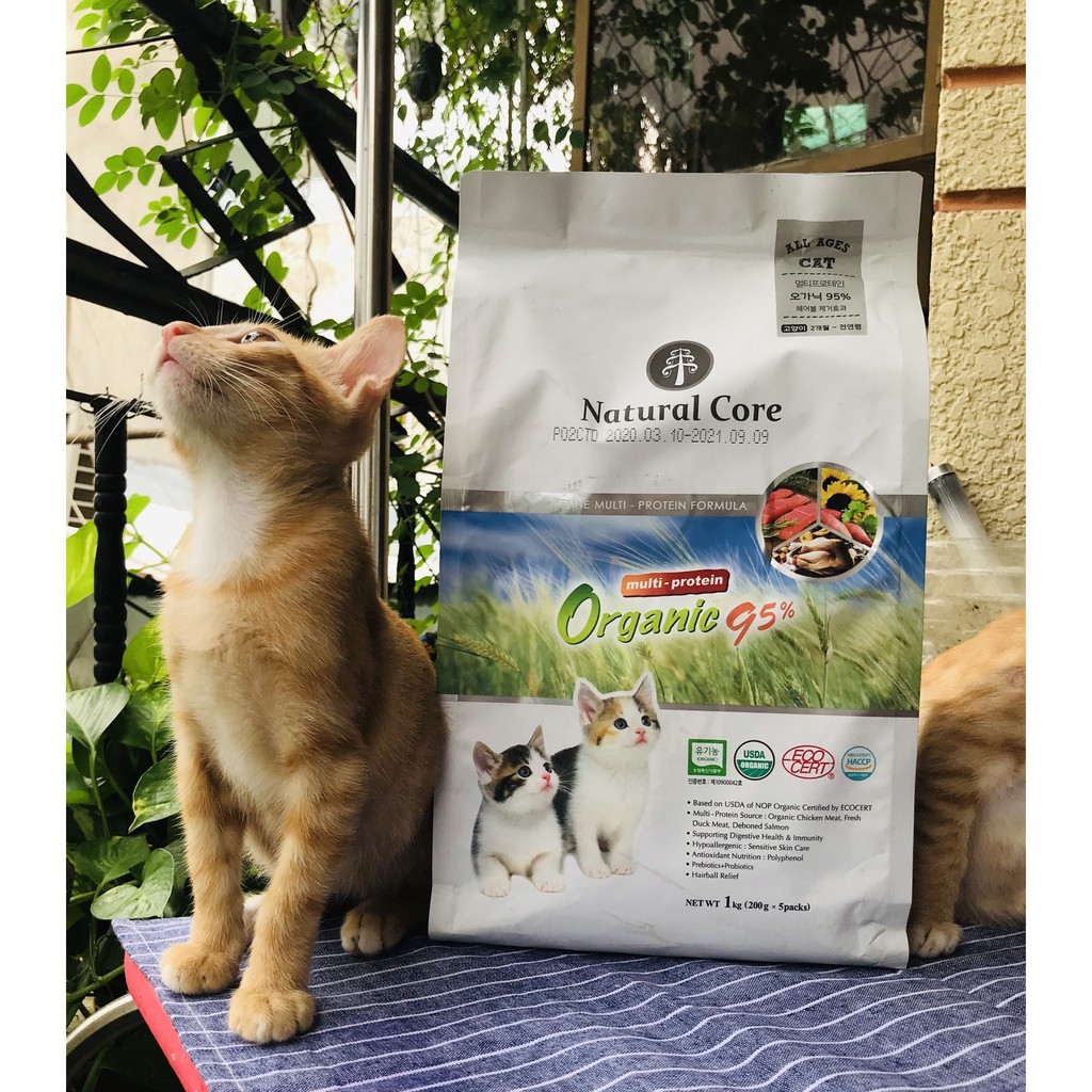 Hạt hữu cơ cho mèo con Thức ăn hữu cơ cho mèo giàu đạm Natural Core ORGANIC 95%