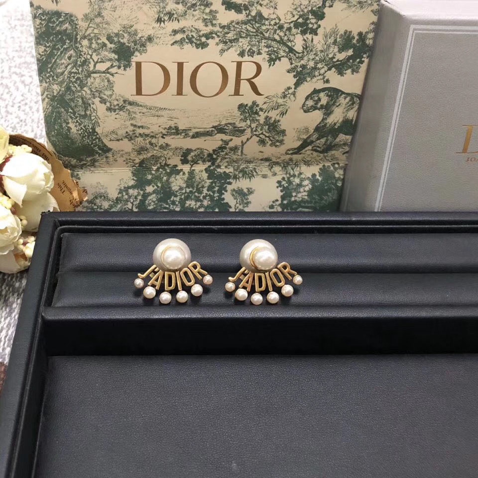 Khuyên Tai Tròn Khắc Chữ Dior Bằng Thép Titanium Thời Trang Cho Nữ