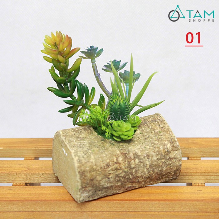 Tiểu cảnh sen đá giả để bàn đế gỗ F-CHĐB-96 TAN