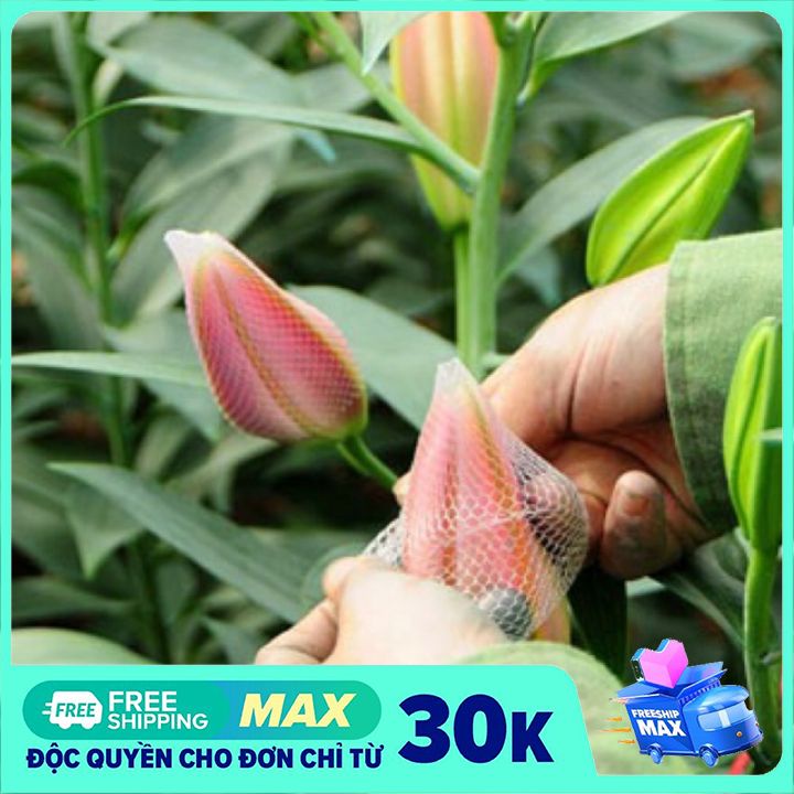 Lưới chụp hoa ly, hoa cúc, hoa hồng, lưới bọc hoa tươi