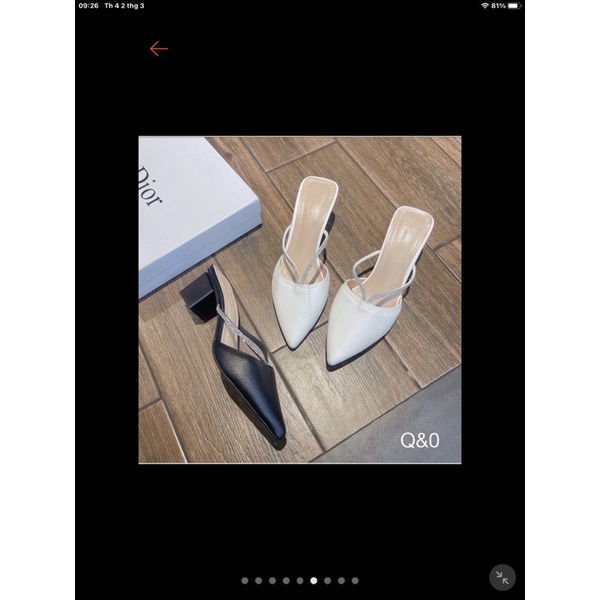 sục nử bigsize 33-43