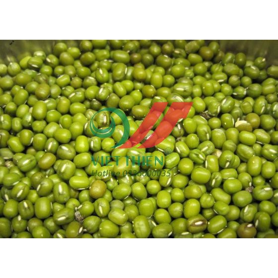 1KG HẠT ĐẬU XANH/ĐỖ XANH NGUYÊN HẠT loại ngon, làm giá - Nhà máy sản xuất và đóng gói nông sản xuất khẩu
