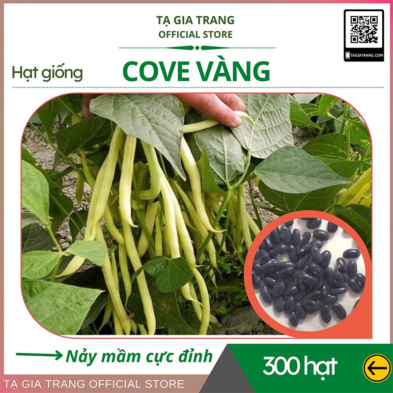 Hạt giống đậu cove vàng (đậu cô bơ) - Shop hạt giống Tạ Gia Trang | Gói 50g