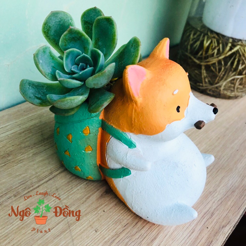 Chậu Cây Hình Chó Akita Dễ Thương Trồng Sen Đá Xương Rồng Cây Cảnh Mini Để Bàn Trang Trí Văn Phòng