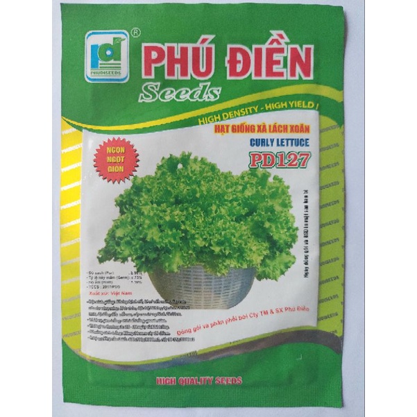 HẠT GIỐNG XÀ LÁCH LÁ XOĂN