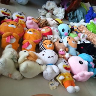 Set gấu của chị tâm