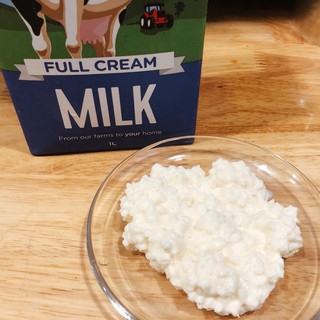 Nấm sữa Kefir (nấm sữa Tây Tạng)