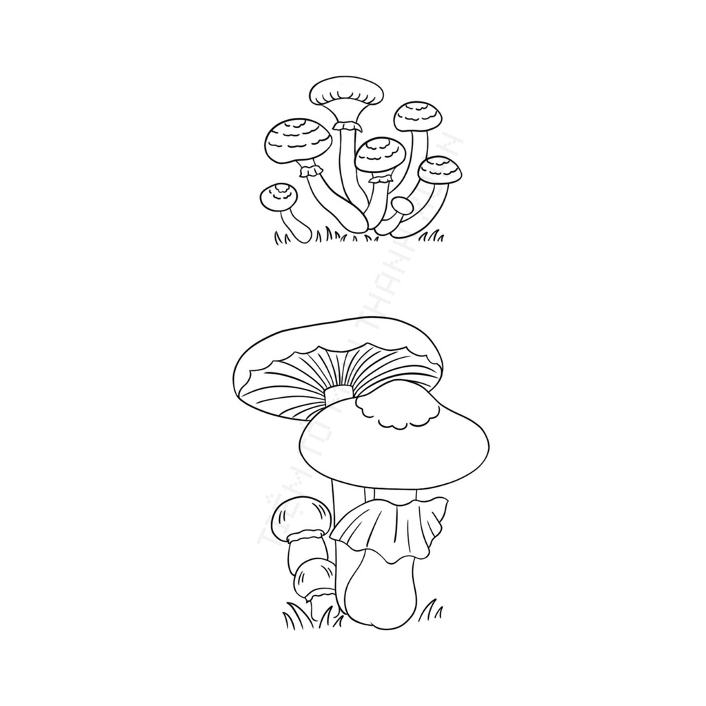 Set 10 Tờ Tranh Tô Màu Các Loại Nấm Tô Màu Sáp, Màu Chì - Tiệm Tô Màu Thanh Xuân