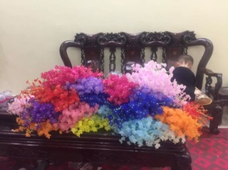 Lan vũ nữ