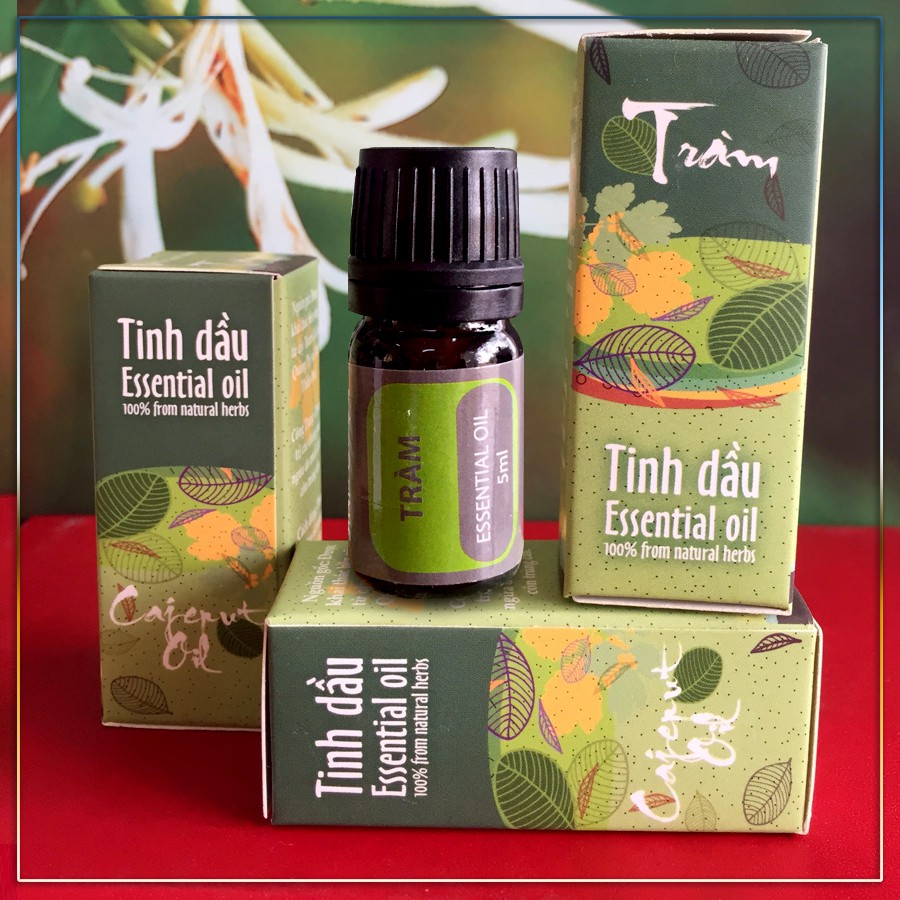 Tinh dầu tràm 5ml