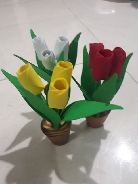 Chậu hoa tulip mini