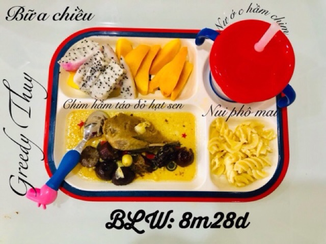 TÁO ĐỎ HỮU CƠ NINH HẠ SIZE BỰ (USDA ORGANIC) (túi zip 100g)