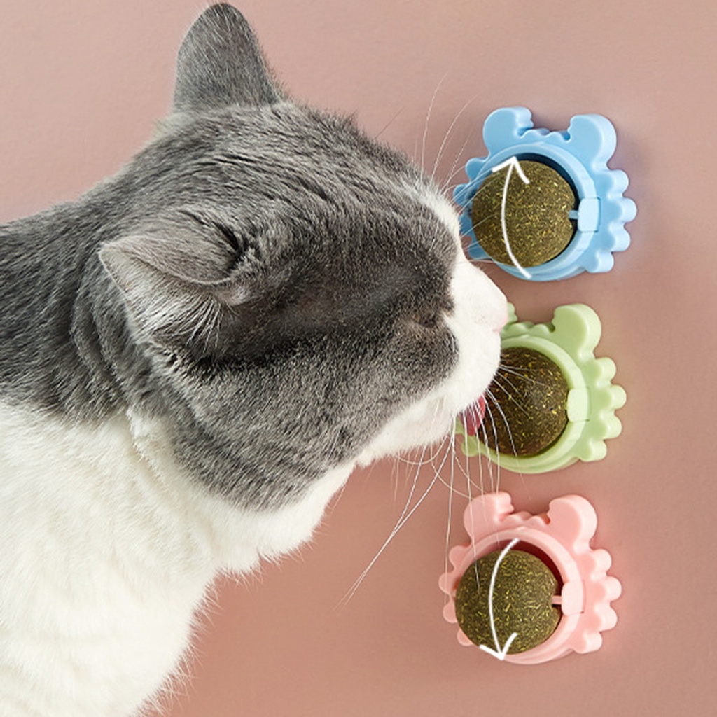 Bóng Catnip Bạc Hà Đồ Chơi Gắn Tường Kèm Hộp Đựng