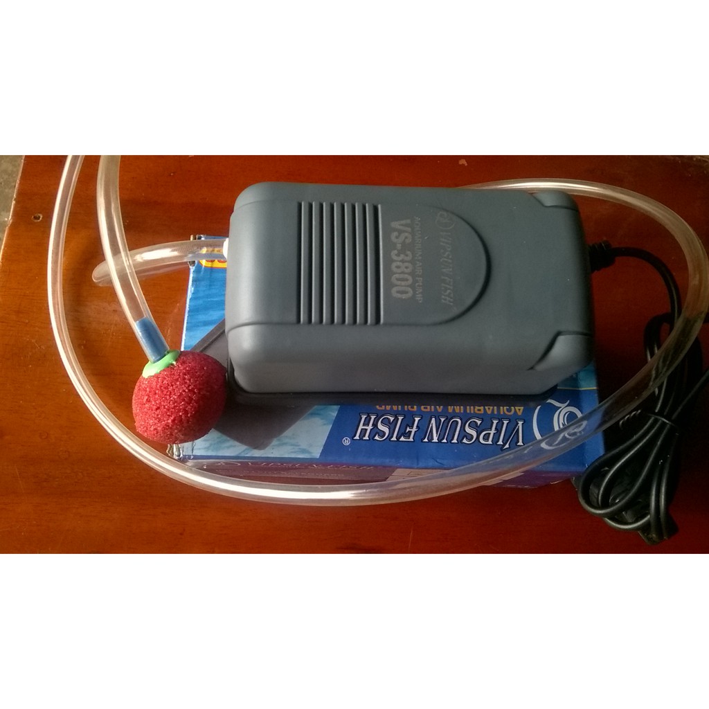 máy oxy cho hồ cá