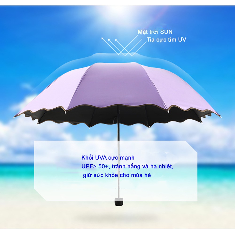 Dù ô chống tia cực tím UV - Dù che nắng ô che mưa tím xanh lá đỏ hồng xanh hồ chống gió và bức xạ mạnh
