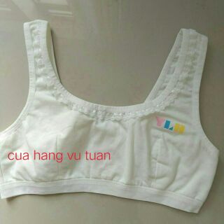 Áo lá bản học sinh