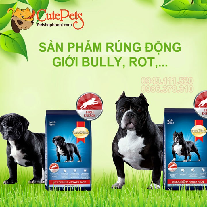 Smart Heart Power Pack Adult 20kg phát triển cơ bắp dành cho cho lớn - CutePets