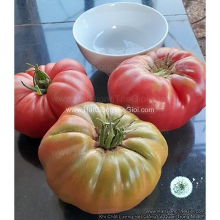 Cà chua ngọt - Truyện về Nhóc Tom - Barbara Constantine