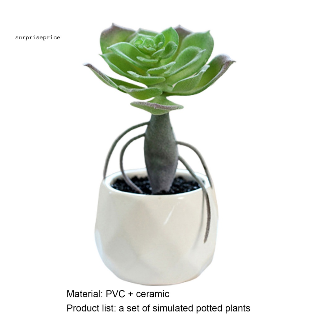 Chậu Cây Giả Mini Dùng Trang Trí Nhà Cửa