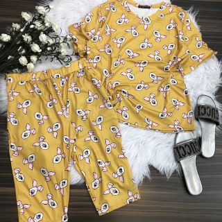 Set bộ áo thú tay ngắn quần lửng!