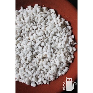 Đá PERLITE Nostiplant size 3-6mm nhẹ xốp | Giá thể trồng sen đá, xương rồng, cây nội thất