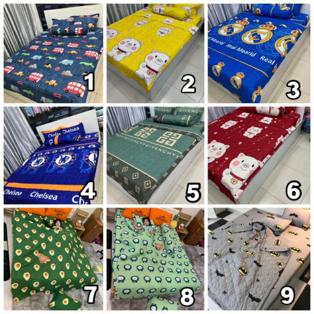 Bộ ga chun chăn chần hè kèm 2 vỏ gối nằm và 1 vỏ gối ôm cotton poly