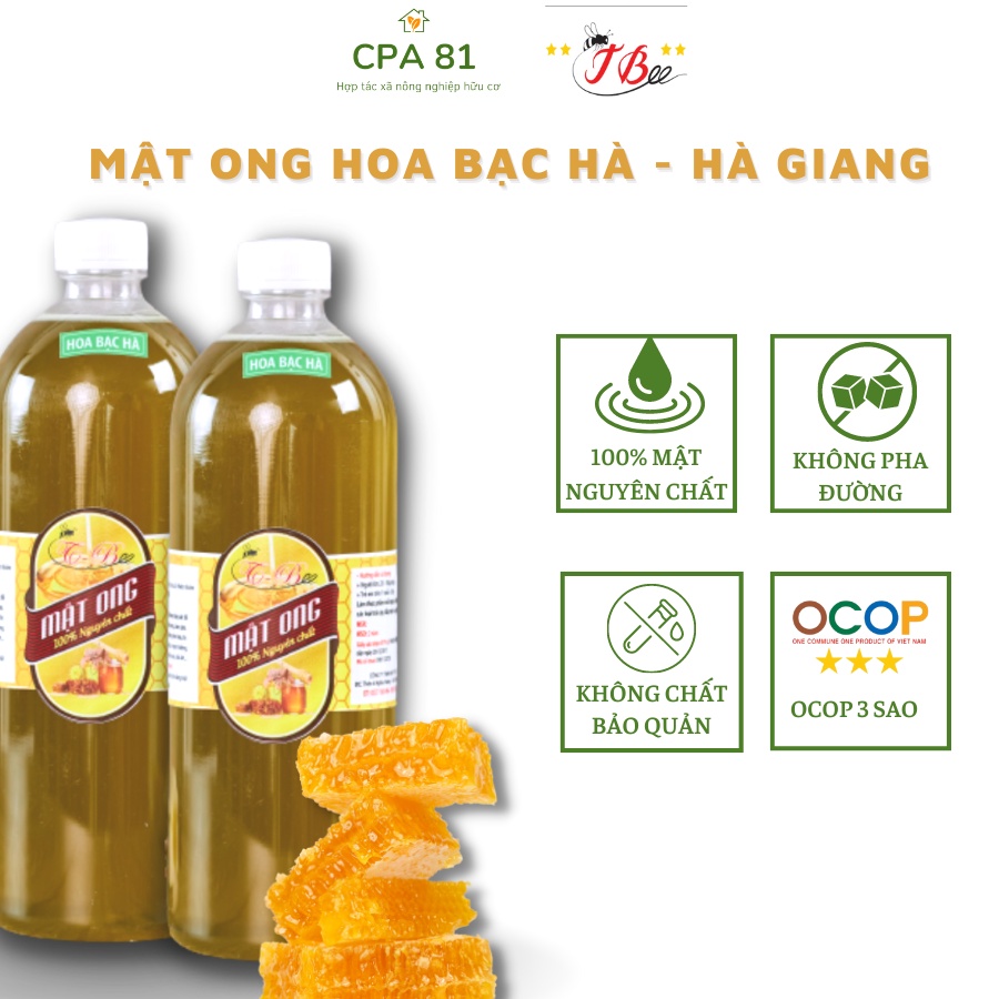 Mật ong nguyên chất 100% hoa BẠC HÀ 1 lít T-BEE Honey