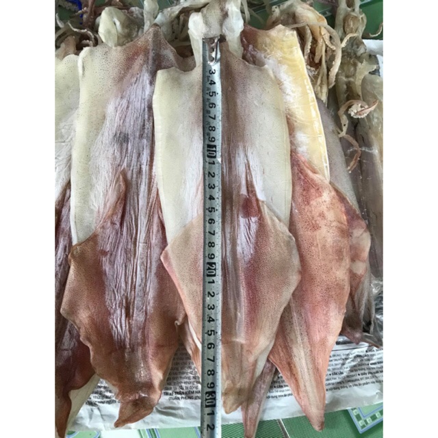 1kg mực câu vân đồn ( size 6-8 con/1kg)