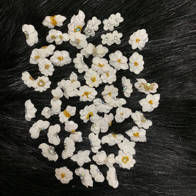 Hoa bột sĩ 100b nn tay chân