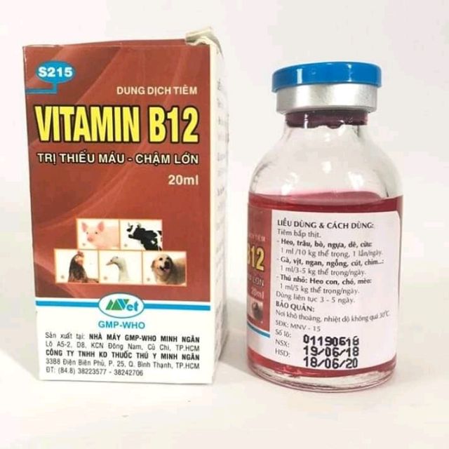 Vitamin B12 Thú y dùng để giải độc cho lan