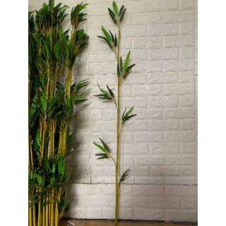 Cây trúc giả